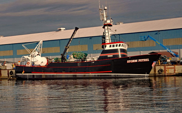 Fishing vessel dockside with Ferguson Terminal warehouse in background